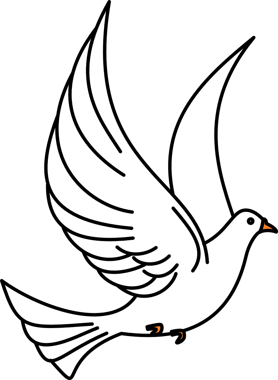 dove, birds, flying-40861.jpg
