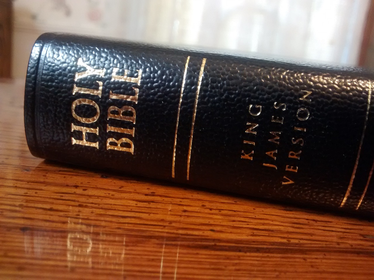 Introduction to the Bible for Young Christian Ministers